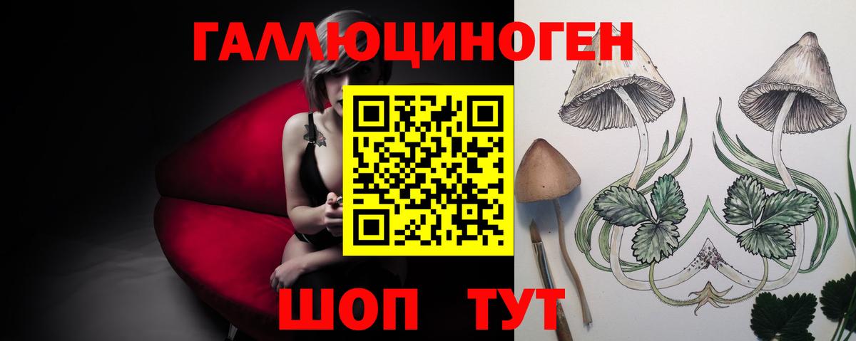 Галлюциногенные грибы мицелий  Вход с VPN  Советская Гавань 